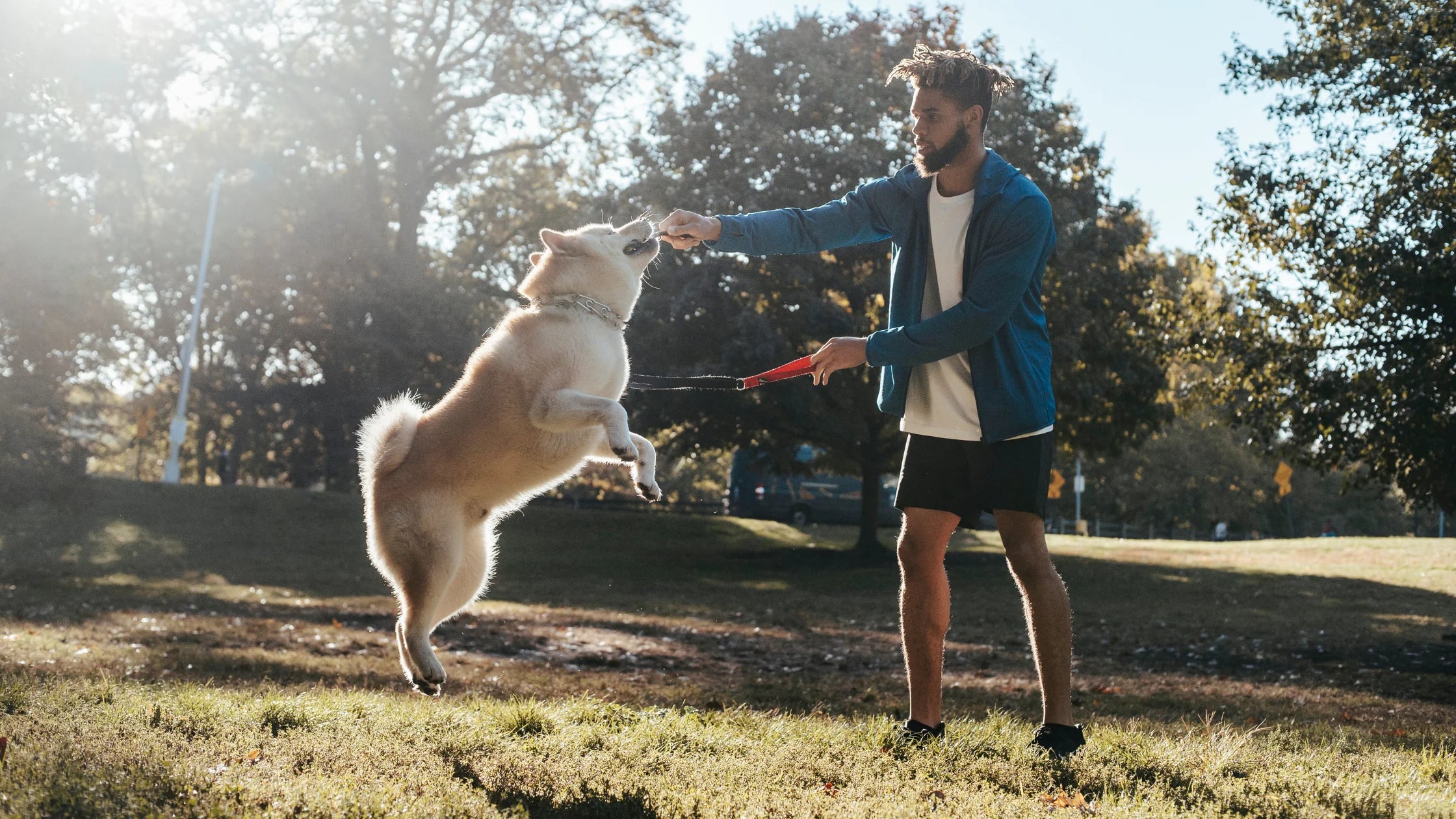 Dog Health 101: Why Daily Exercise Is Essential for Every Dog