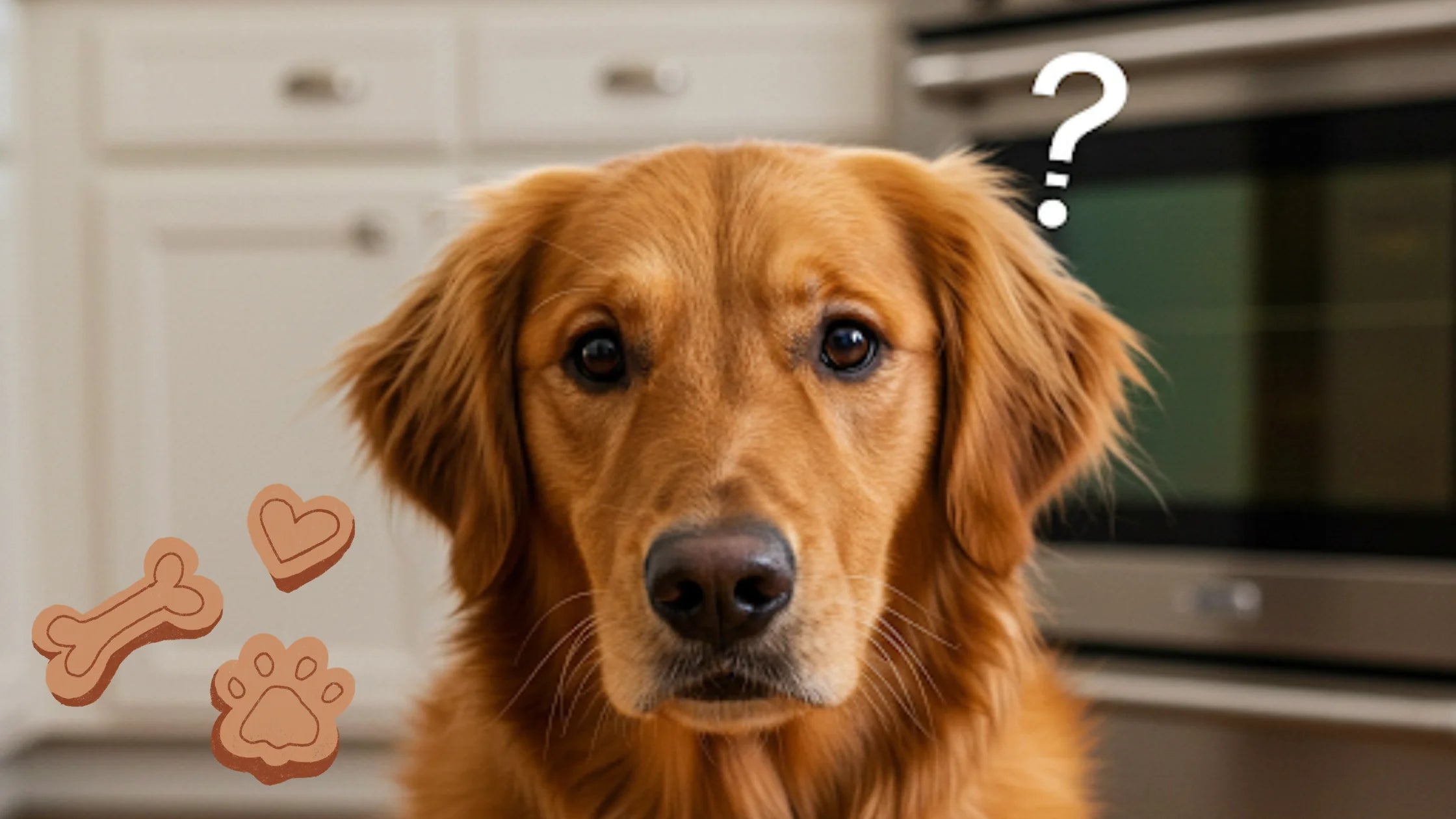Do Dogs Need Vitamins and Supplements?