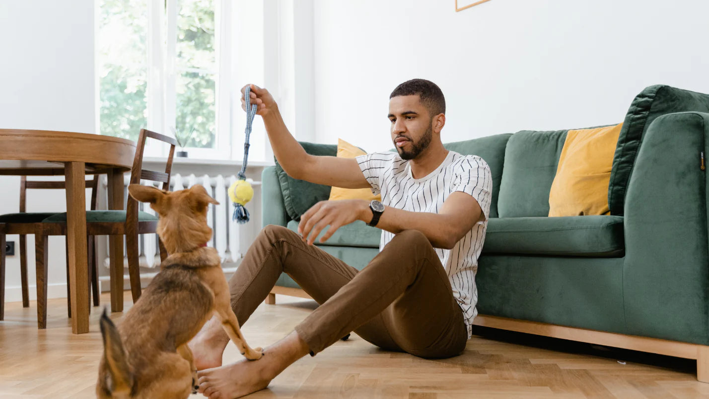 Do Dogs Need Daily Vitamins? Here’s What You Should Know