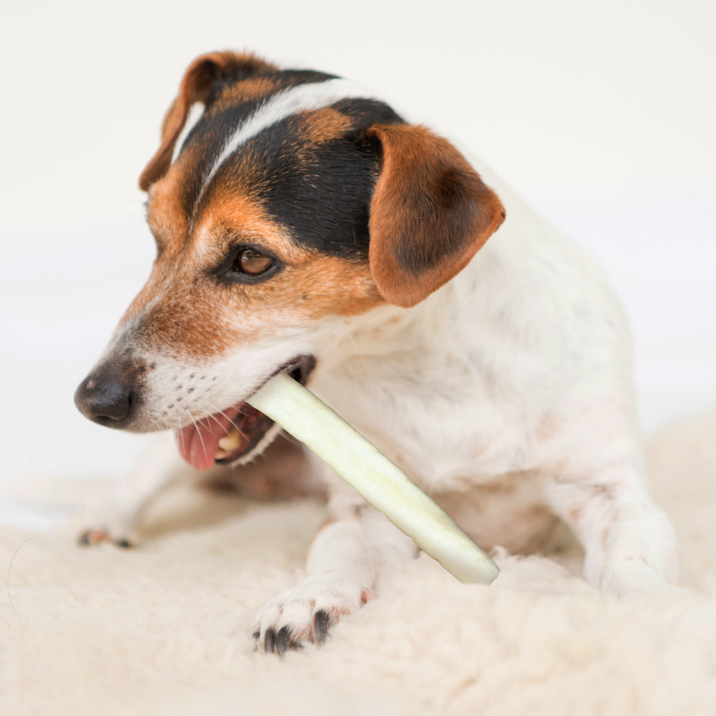 Small 5" Natural Beef Collagen Chews
