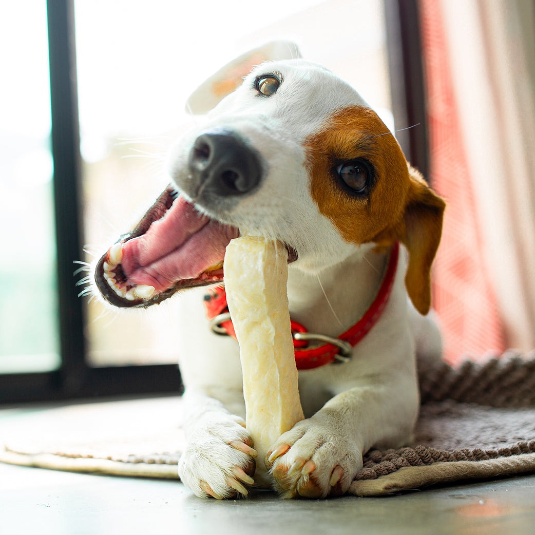 Medium 7" Natural Beef Collagen Chew