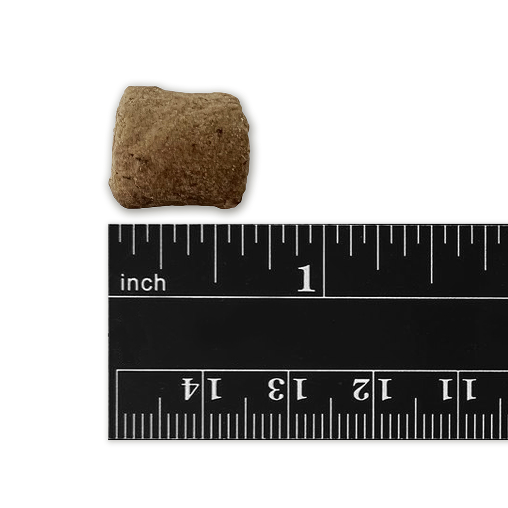 Freeze Dried Raw Beef