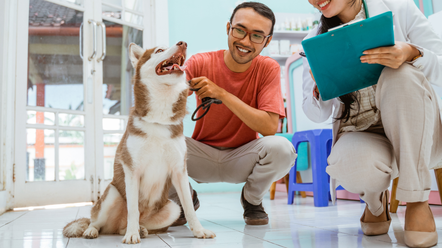 Beef Liver For Dogs