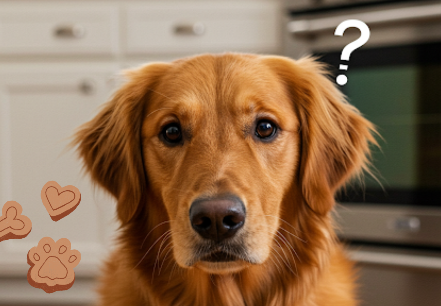 Do Dogs Need Vitamins and Supplements