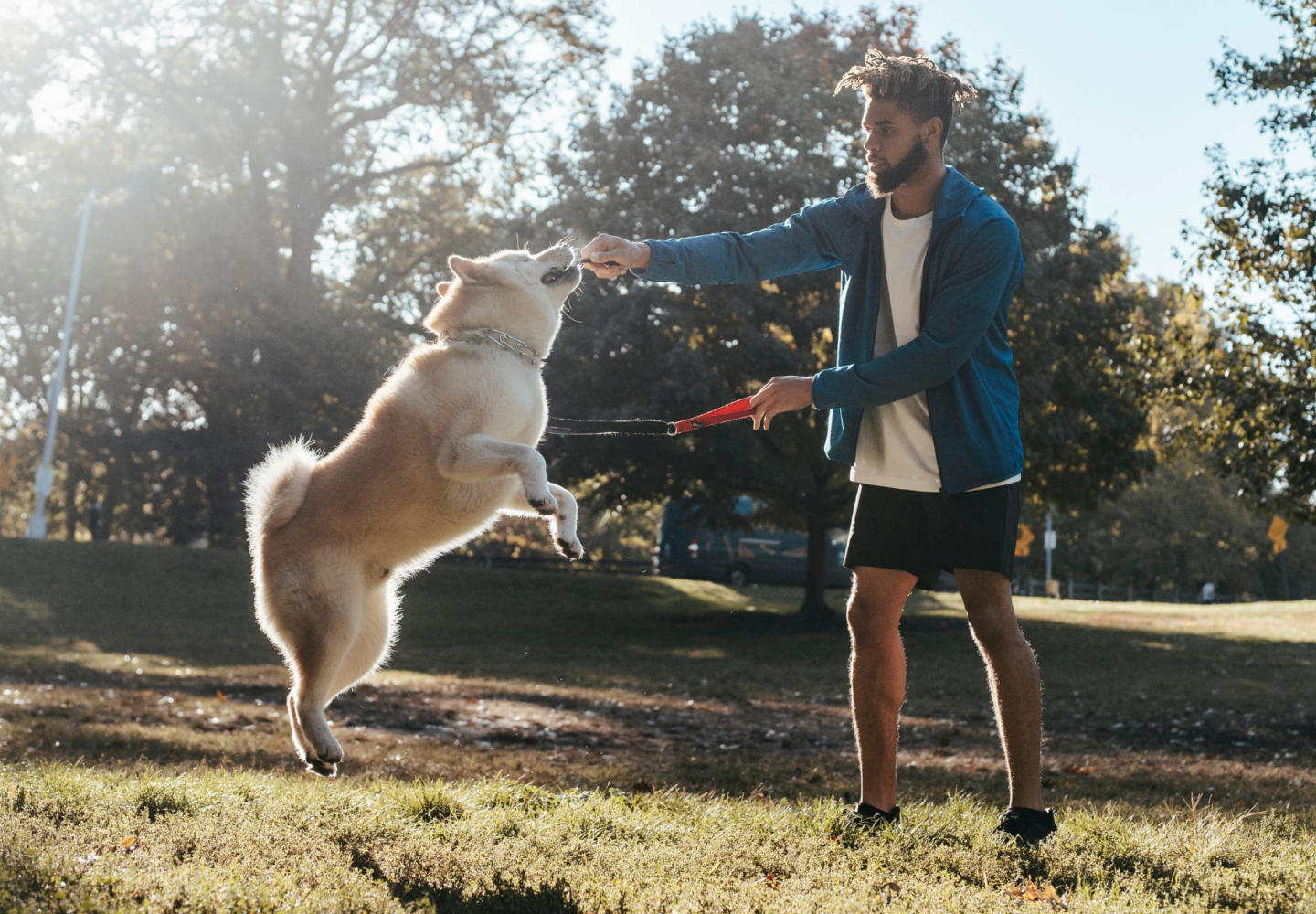 Why Daily Exercise Is Essential for Every Dog