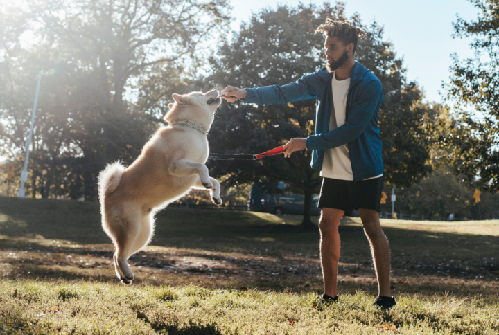 Why Daily Exercise Is Essential for Every Dog
